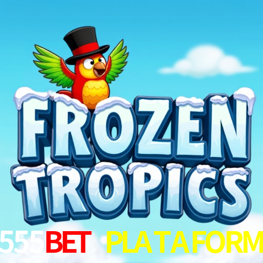 5555BET PLATAFORMA - Brasil Videogames Casino -5555BET1